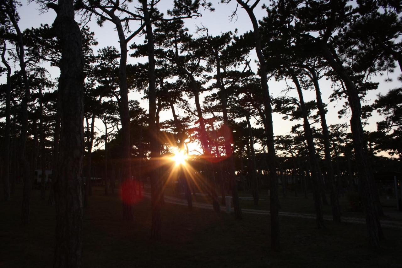 Camping Planik Hotel Ražanac Eksteriør billede
