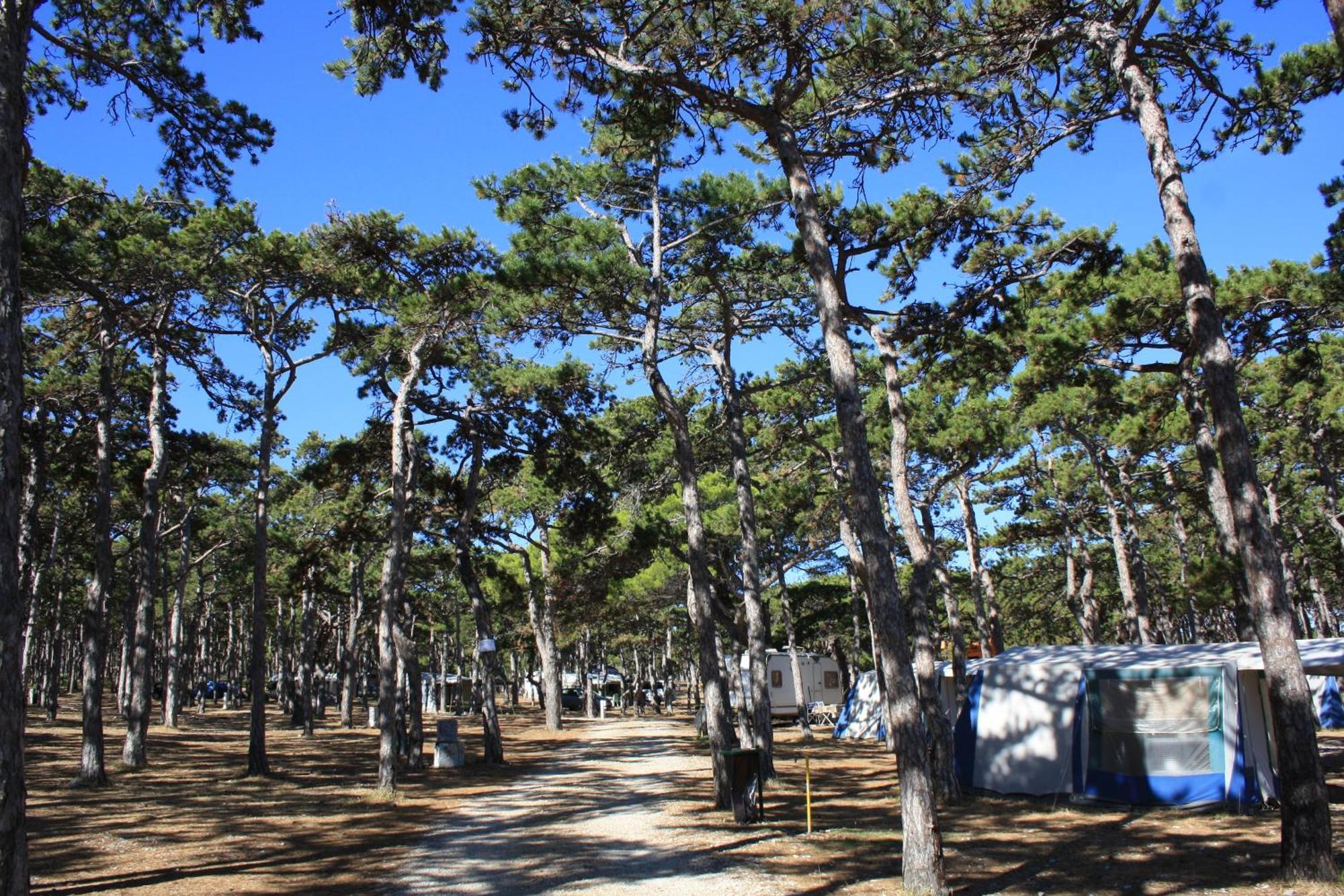 Camping Planik Hotel Ražanac Eksteriør billede